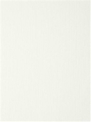 Patrasso 36374 Ivory Kravet Basics Design